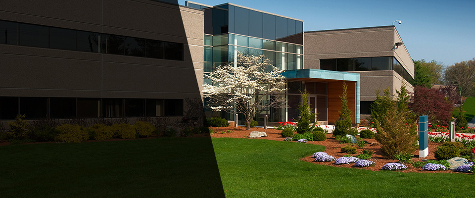 Bosque Farms Landscapers