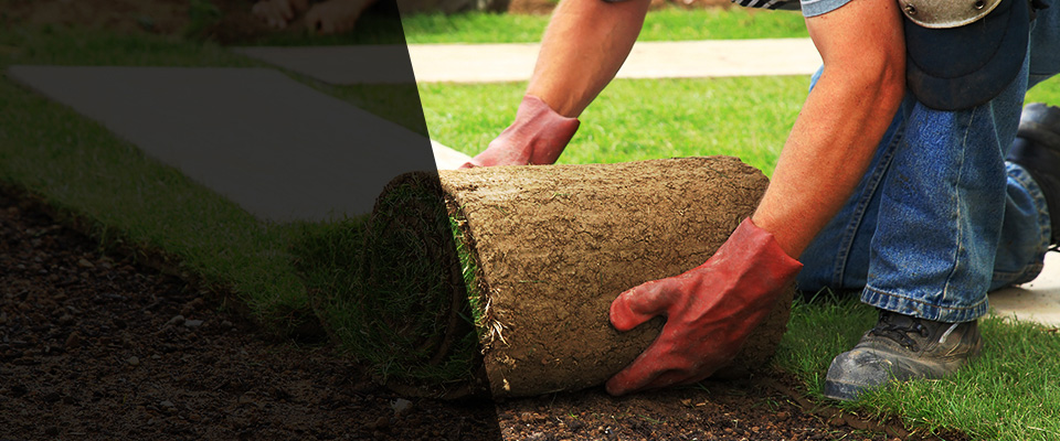 Bosque Farms Landscapers